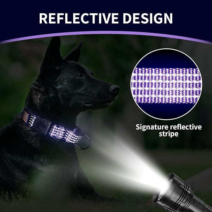 Martingale Collar for Training Dogs. Adjustable Reflective Collars with Buckle-USA Flag- NO Pull-Prevents Slipping Out, for Medium Large XL Dogs. Helps with Strong pullers(XL, Purple)