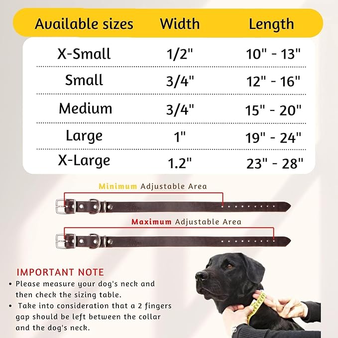 Adityna - Leather Dog Collar for Large Dogs - Classic Style, Soft and Strong, Heavy-Duty Top-Grain Leather Collar for Walking, Training, Hunting, and Running (L - Neck: 19-24 inches, Brown)