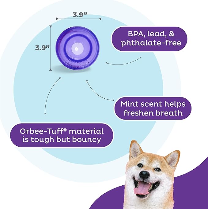 Outward Hound by Planet Dog Lil' Snoop Interactive Treat Dispensing Dog Toy, Small, Purple