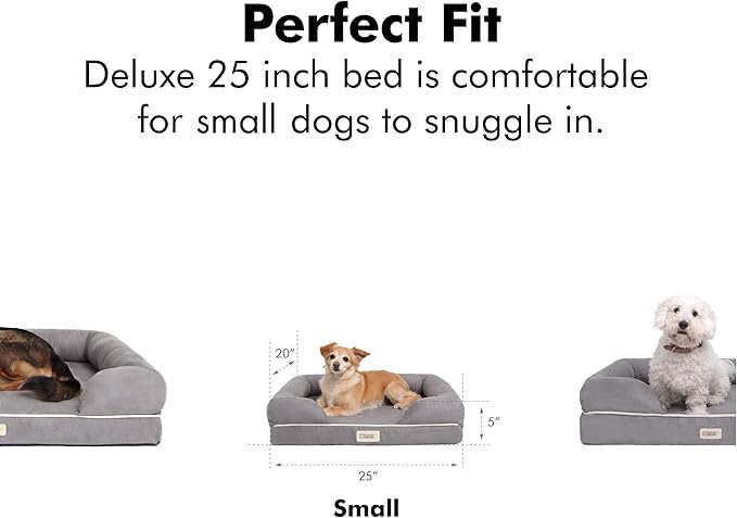 Friends Forever Small Dog Bed, Orthopedic Dog Sofa Memory Foam Mattress, Calming Dog Couch Bed, Wall Rim Pillow, Water Resistant Liner, Washable Cover, Non-Slip Bottom, Chester, Small Khaki Beige