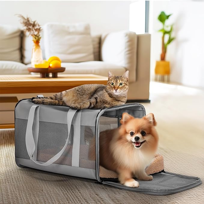 Petsfit Travel Pet Carrier for Large Cats (up to 20 lbs), Soft-Sided Dog Car Travel Carrier with Patented Buckle and Soft Padding, Ideal for Car Road Trips,19X12X12 Inch,Gray