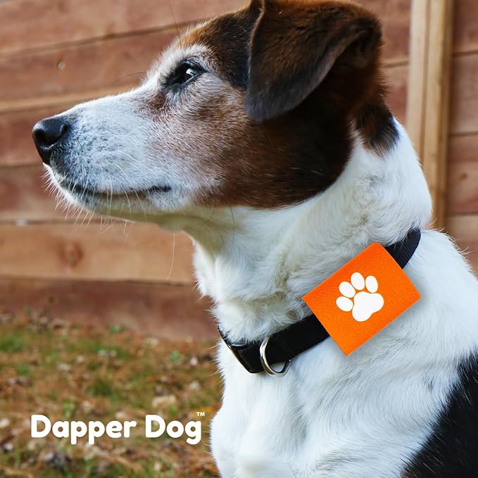 Dapper Dog Pet Tag Silencer and AirTag Holder (Orange with White Paw)