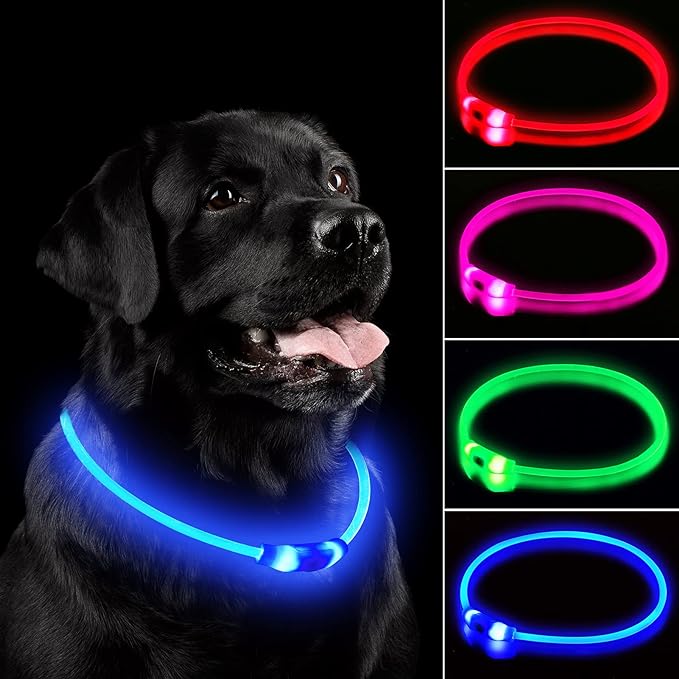LED Dog Collar, Rechargeable Light Up Dog Collars,IP67 Waterproof Dog Lights for Night Walking,Adjustable, Reusable Safety Necklace for Small Medium Large Dogs(Blue)