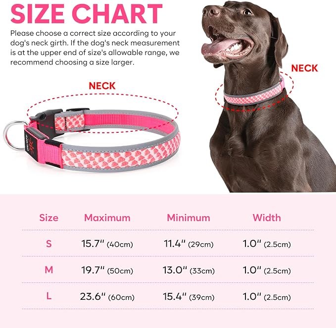 BiPawTi LED Dog Collar Rechargeable, Light Up Dog Collar 3 Light Modes Pet Safety Collar, Super Bright Glow in The Dark Dog Collar for Night Walking, Lighted Dog Collar for Large Dogs (Pink, L)