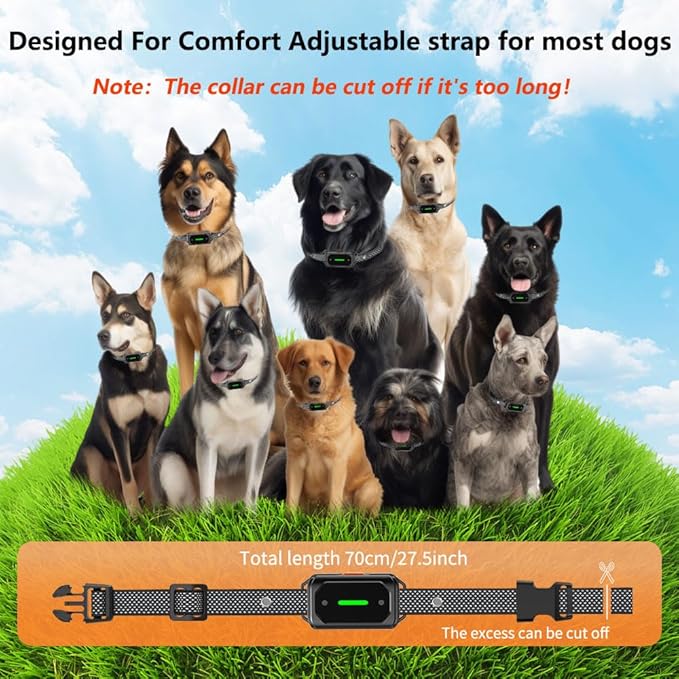 Shock Collar for Dogs, 3300FT Dog Training Collar, for Small, Medium and Large Dogs, 4 Training Modes, Dog Shock Collar with Remote Control, Rechargeable and Waterproof, E Collar for Dogs