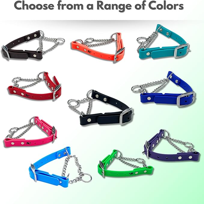 Martingale Collar for Dogs, Biothane, Stainless Steel Hardware, No Pull, Made in The USA, Professional Grade, Large, Blue