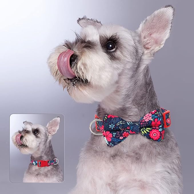 Didog Floral Dog Collar with Bow, Cute Girl Dog Collars with Detachable Bowtie, Soft & Comfy Spring Summer Dog Collar for Small Medium Large Dogs Gift Holiday, Red, L