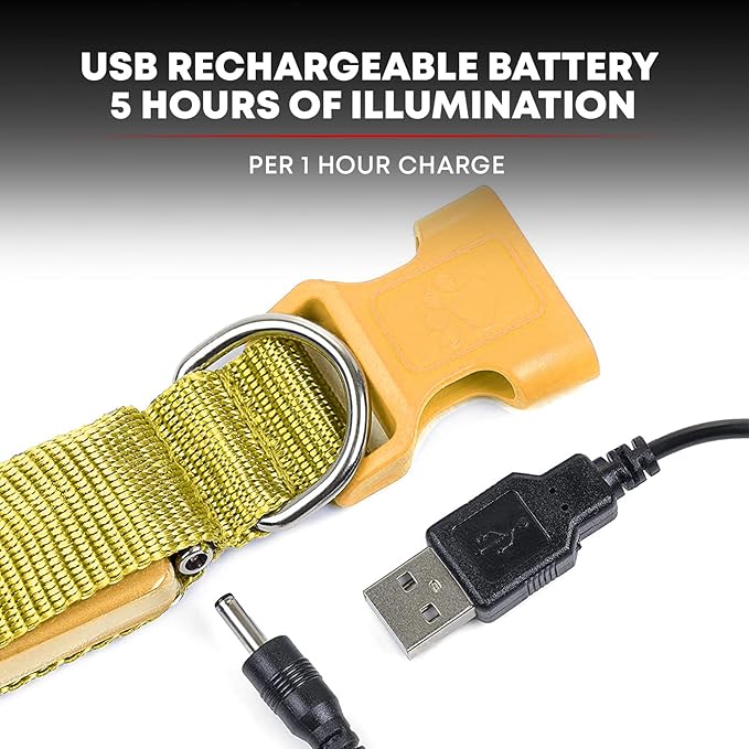 ILLUMISEEN LED Dog Collar USB Rechargeable - Bright & High Visibility Lighted Glow Collar for Pet Night Walking - Weatherproof, in 6 Colors & 6 Sizes (Yellow Small)