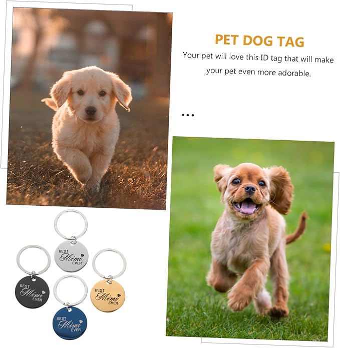 BESPORTBLE 4pcs Pet Id Pet Dog Tag Cat Tags Dog Tags Engraved for Pets Dog Collar Name Plate Blank Engraved Tag Custom Dog Tags for Pets Paw Print Id Tags Claw Nameplate Stainless Steel Metal