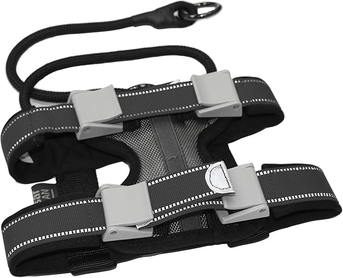 Cesar Millan Pack Leader Collar™ - Training Collar of The Dog Whisperer (Large, Grey)
