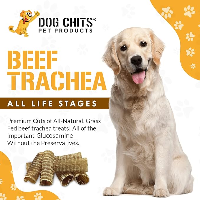 Beef Trachea for Dogs - Dog and Puppy Chews | Amazing for Joints | 12 in, 4 Pack | Made in USA | All-Natural Treats | Large and Small Dogs | Nothing Added | Lots of Natural Glucosamine