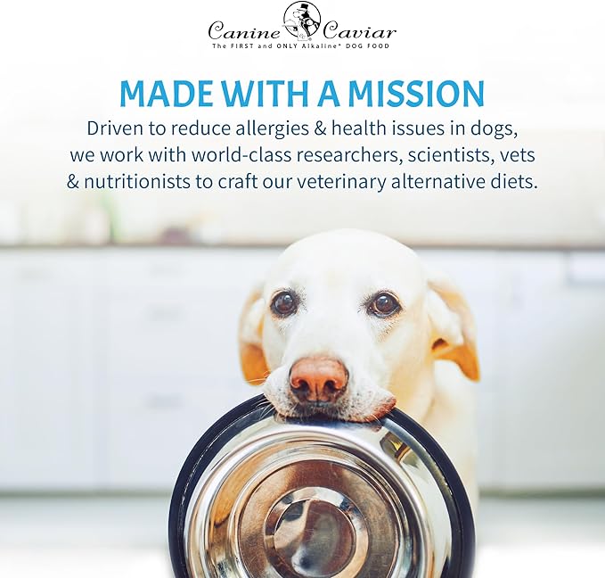 Canine Caviar - Dried Sweet Potato Dog Treats, Low Calorie, Healthy Rawhide Alternative, Gluten-Free (12 oz)