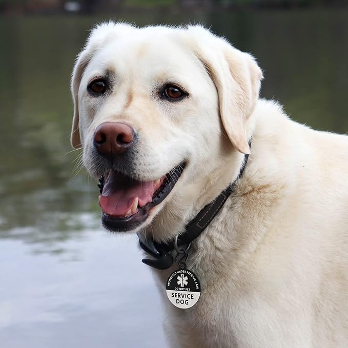 MYLUCKYTAG Service Dog Tag, QR Code Stainless Steel Pet ID Tag Dog Tag, Online Pet Profile, Pet Location Alert Email, Digital Pet Tag, Durable Pet ID, Dog Collar Tag, Engraved Pet Tag
