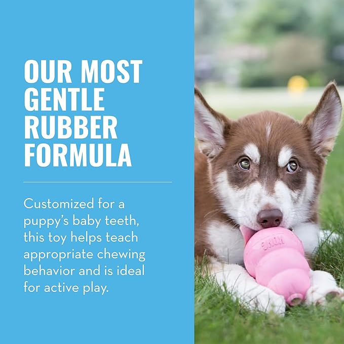 KONG Puppy - Natural Teething Rubber Chew Toy for Dogs - Stuffable Dog Toy for Extended Playtime - Chew & Fetch Toy for Puppies - for Medium Puppies - Pink