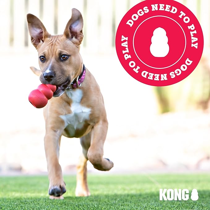 KONG - Extreme Goodie Bone - KONG's Most Durable Natural Rubber Dog Bone for Power Chewers - Black - For Medium Dogs