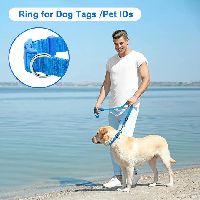 azuza 3 Pack Dog Collars Comfortable and Adjustable Nylon Dog Collars for Puppy Small Dogs, XS (8-12inch),Green, Blue and Royal Blue