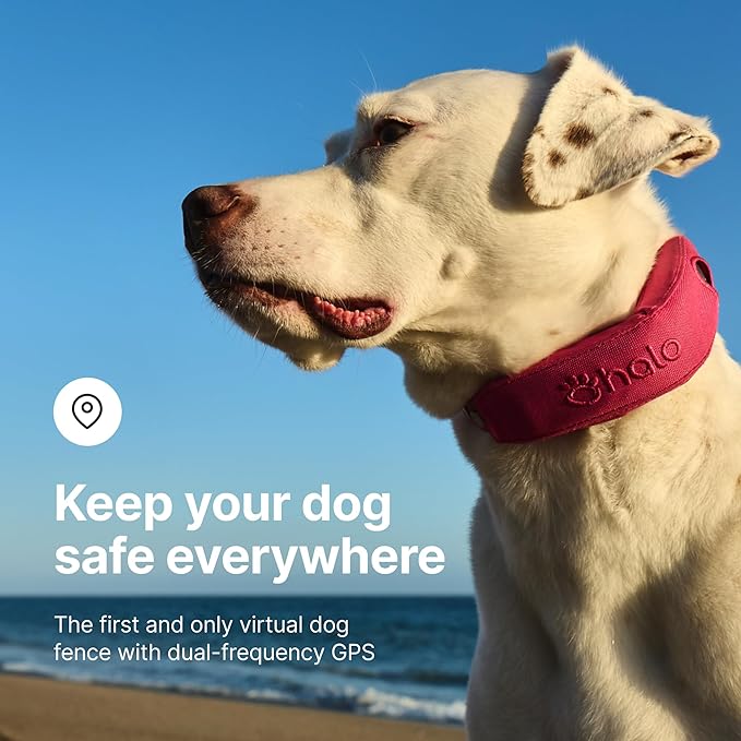 Halo Collar 4, All New GPS Wireless Dog Fence & Dog Training Collar with GPS Tracker, Subscription Required, Waterproof, One Size, Graphite