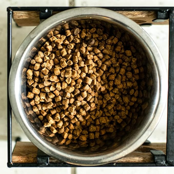 Wild Alaskan Salmon Grain-Free Dog Food | No Chicken or Other Animal by-Products | Rich in Omega 3 & 6 Fatty Acids | Sustainably Sourced Wild Caught Fish | Made in The USA | 11lb Bag