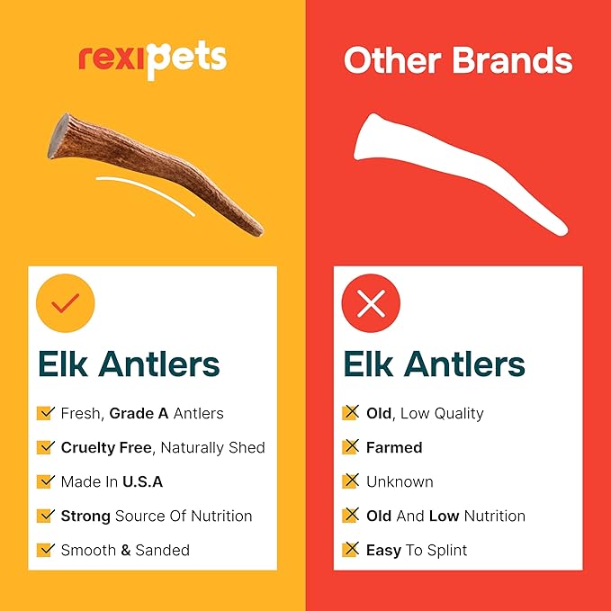 100% Natural - Elk Antlers for Dogs - Naturally Shed in USA - Long Lasting Chews for Aggressive Chewers - Natural, Real Dog Antler Treats & Toys - Dog Chews - No Odor & No Mess - Large