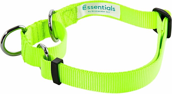 Blueberry Pet Essentials Martingale Safety Training Dog Collar, Highlighter Yellow, Small, Heavy Duty Nylon Adjustable Collars for Dogs