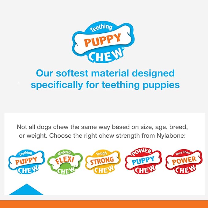 Nylabone Puppy Teething and Soothing Chew Toy - Puppy Chew Toys for Teething - Puppy Supplies - Chicken Flavor, Blue, X-Small/Petite (1 Count)