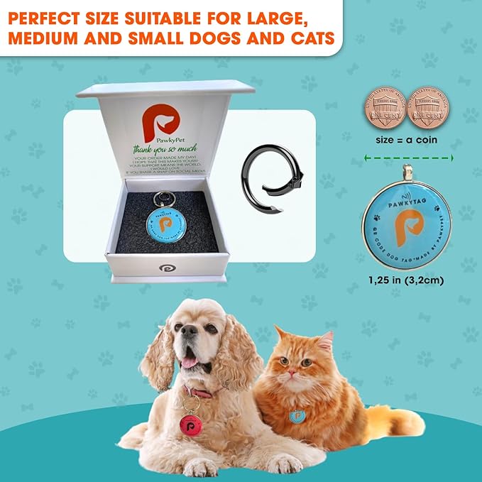 SMORDERNPETZ - Smart Dog Tag for Dogs and Cats - Durable Dog Name Tag - Waterproof QR Code Dog Tags for Pets with Anti-Lost Feature, Easy to Use - No Subscription Fees - Pack of 1 (Blue)