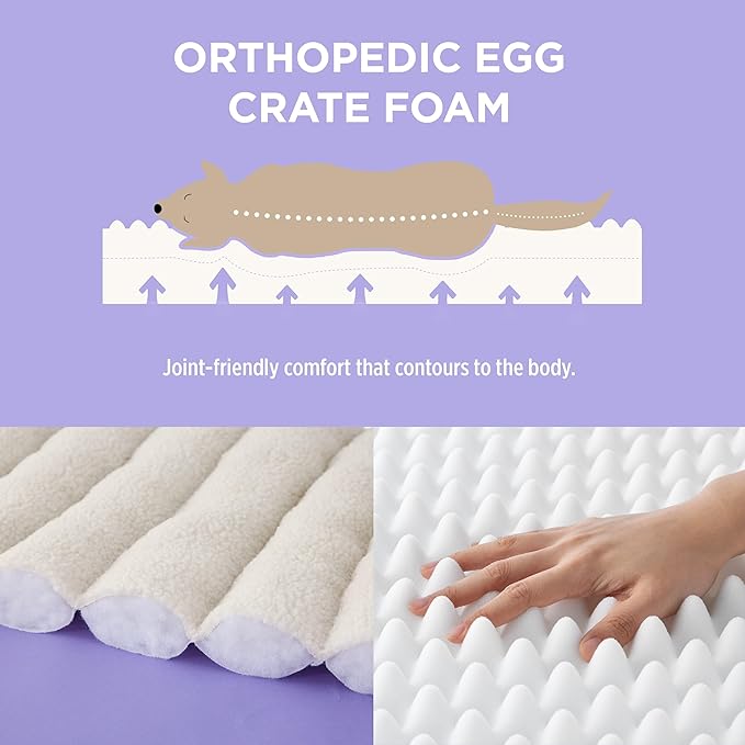 Lesure Orthopedic Dog Bed Sofa for Large Dogs, Waterproof Dog Couch with Removable Washable Cover, Cute Aesthetic Pet Sofa Couch with Egg Crate Foam(35" x 25" x 10.5", Cream)