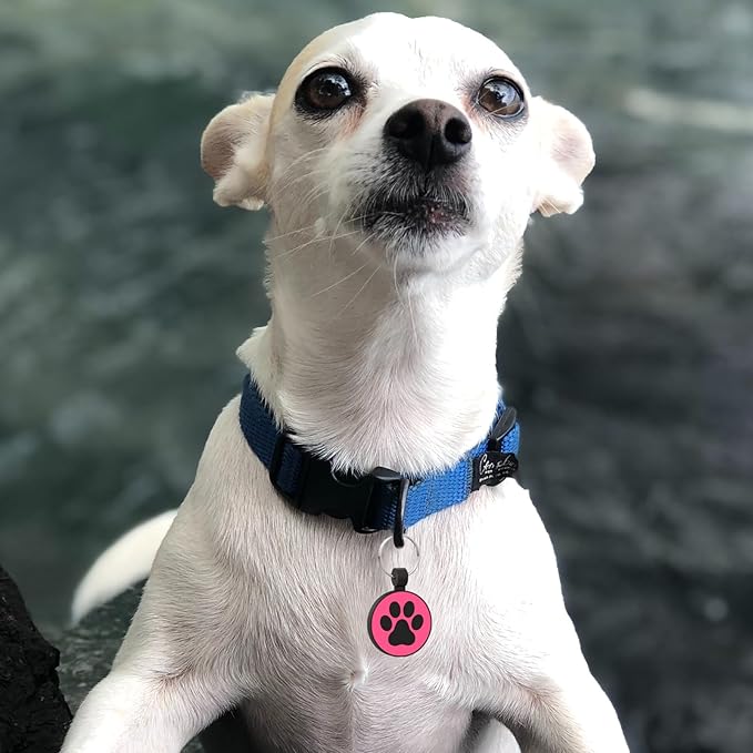 MYLUCKYTAG Silent Silicone QR Code Pet ID Tags Dog Tags - Pet Online Profile - Scan QR Receive Instant Pet Location Alert Email