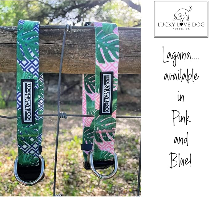 Lucky Love Dog, Tropical Dog Collar for Female Male Dogs, Comfortable & Soft, Vivid Pink Dog Collar - (X-Small, Laguna Collar)