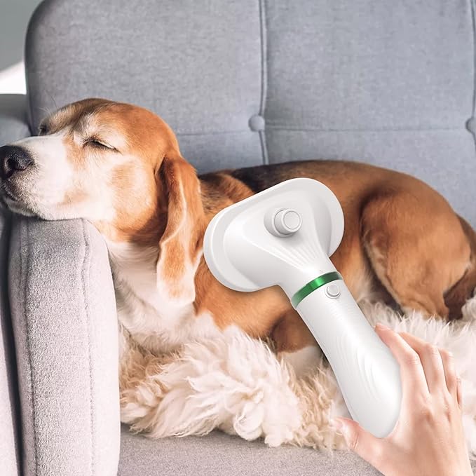 COLORCORAL Pet Hair Dryer Brush, White, Safe for All Hair Types, Flexible Stainless Steel Bristles, 3 Temperature Settings, 300W, Unisex Hair Brush for Small & Medium Dogs & Cats