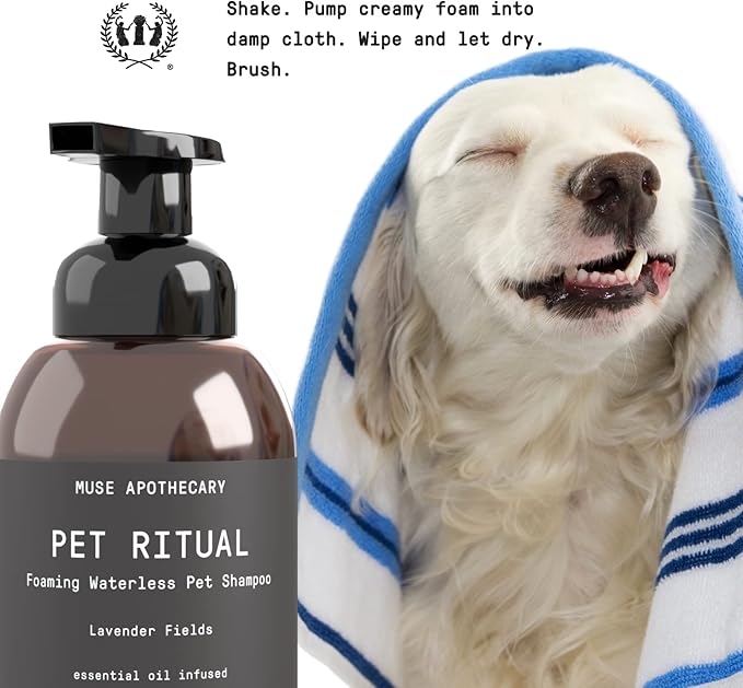 Muse Apothecary Pet Ritual Foaming Waterless Shampoo for Dogs, Waterless Dog Shampoo Foam, No Rinse Dog Shampoo, Waterless Dog Shampoo for Large Dogs - Essential Oils Infused, 11.5oz Fresh Bouquet