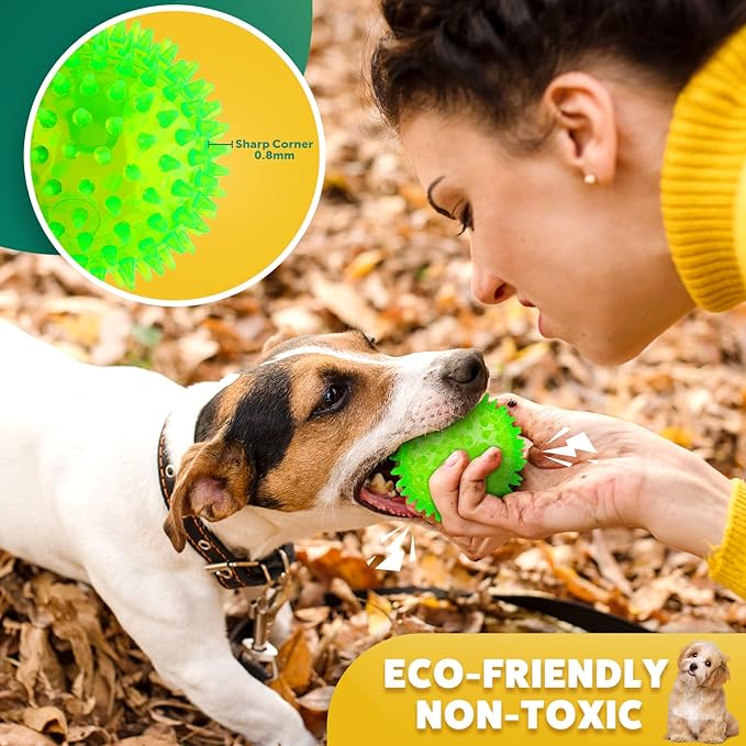 2 Different Functions Interactive Balls for Dogs 2.5” Squeaky Dog Balls Toys and Puppy Teething Chew Toy Balls for Small Dogs Dog Balls for Clean Teeth and Training (5Pcs)