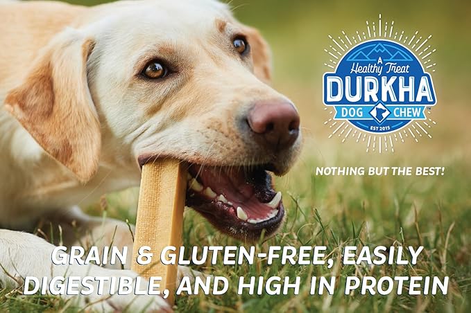 Yak Cheese Chews: Himalayan Yak Cheese Dog Chews- Natural, Healthy & Long Lasting Dog Treats - Grain, Gluten & Lactose-Free Rawhide Alternatives, For Dogs 65 lbs and smaller, 4 Pack Extra Large