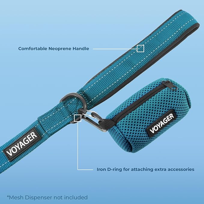 Voyager Reflective Dog Leash Collar Set with Neoprene Handle Supports Small, Medium, and Large Breed Puppies, Cute and Heavy Duty for Walking, Running, and Training - Turquoise, L