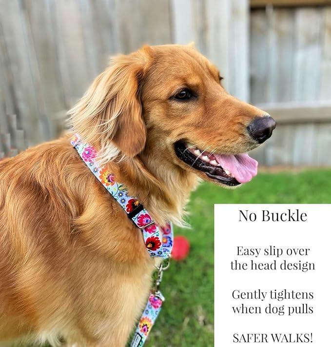 Lucky Love Dog Martingale Collar and Leash Set, Premium No Slip Collar and Leash Set, Vivid Floral Martingale Dog Collar, Great for Whippets, Greyhounds, and More (Ladybird, Small - Combo)