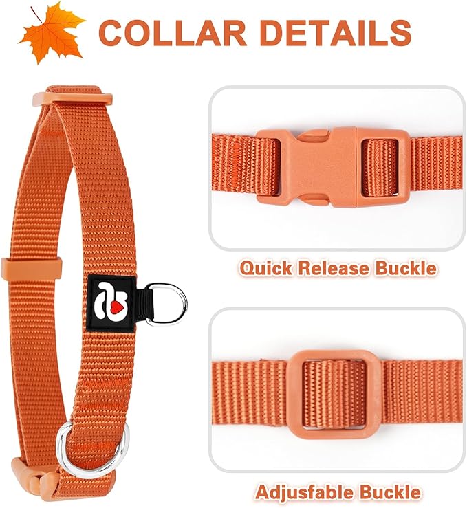 azuza 3 Pack Fall Dog Collars Comfortable and Adjustable Nylon Dog Collars for Large Dogs, L (18-26inch), Ginger Yellow, Rust Orange and Latte Brown