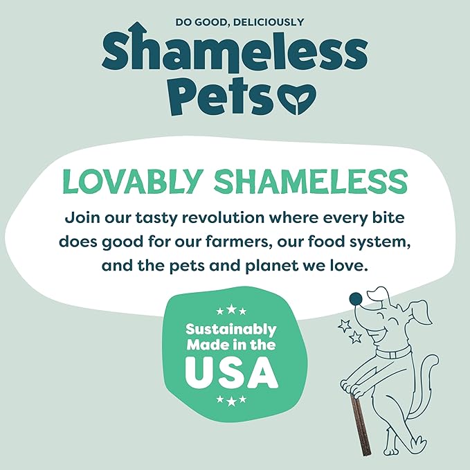 Shameless Pets Dental Chews for Dogs, Mighty Mint Dental Sticks, Healthy Treats for Teeth Cleaning & Fresh Breath - Free from Grain, Corn, & Soy for Small Dogs, 7.2 Ounce Bag