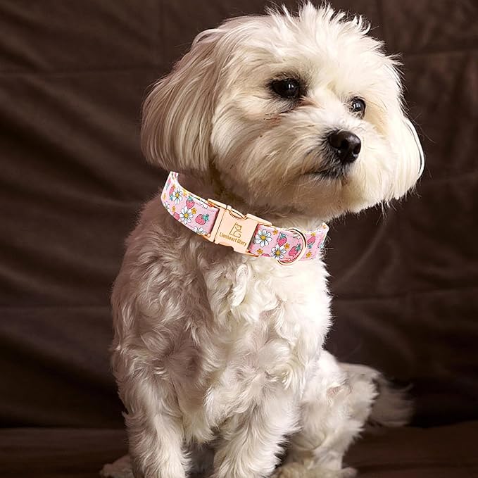 Lionheart glory Dog Collar Pink Dogs Collar Spring Summer Cute Collars Dog Female Soft Durable Adjustable Dog Collars for Small Dogs Pet Gift