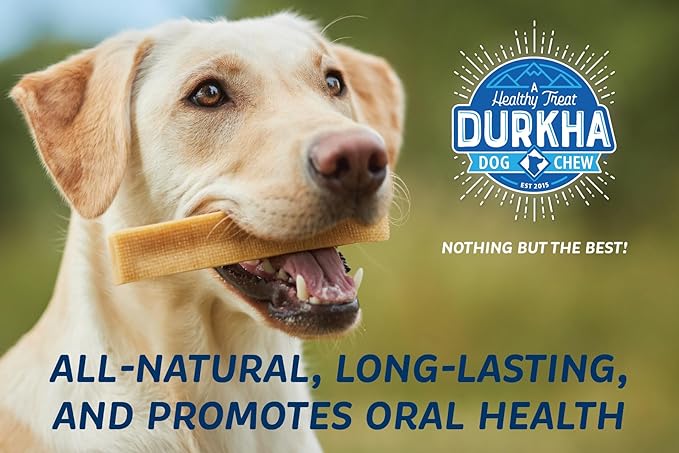 Yak Cheese Chews: Himalayan Yak Cheese Dog Chews- Natural, Healthy & Long Lasting Dog Treats - Grain, Gluten & Lactose-Free Rawhide Alternatives, for Dogs 35 lbs and Smaller, Single Medium