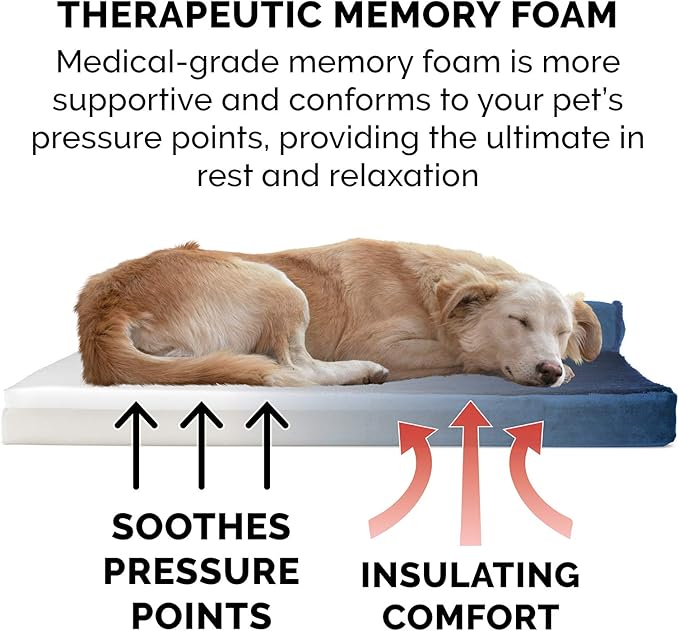 Furhaven Memory Foam Dog Bed for Large/Medium Dogs w/ Removable Bolsters & Washable Cover, For Dogs Up to 55 lbs - Plush & Velvet L Shaped Chaise - Deep Sapphire, Large