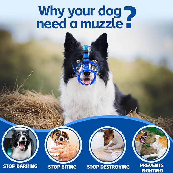 Dog Muzzle,Soft Mesh Breathable Muzzle, Air Mesh Dog Muzzle with Reflective & Adjustable Strap for for Biting Chewing Grooming,Allow Panting Drinking,Dog Muzzle for Medium (Blue, M)