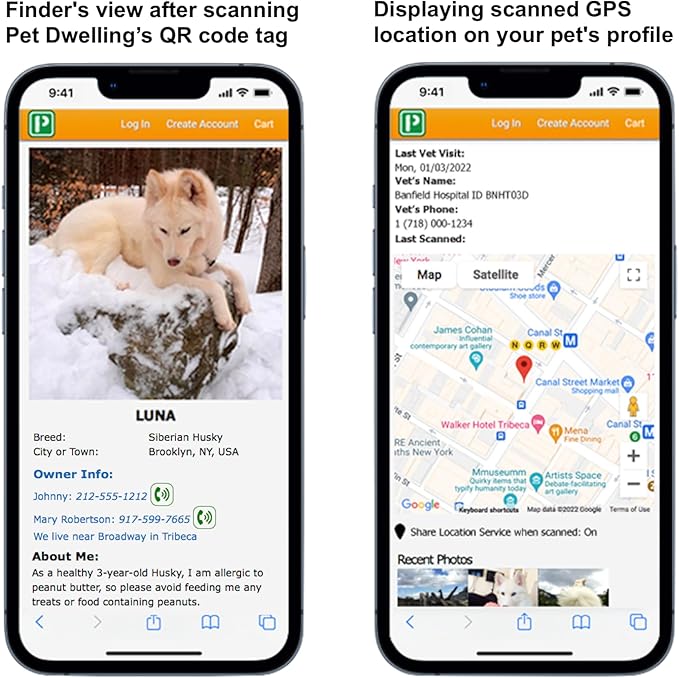 Premium NFC & QR Code Smart Dog ID Tag - Easy Scanning, Instant Profile Access, Real-Time Location Alerts(Green Paw)