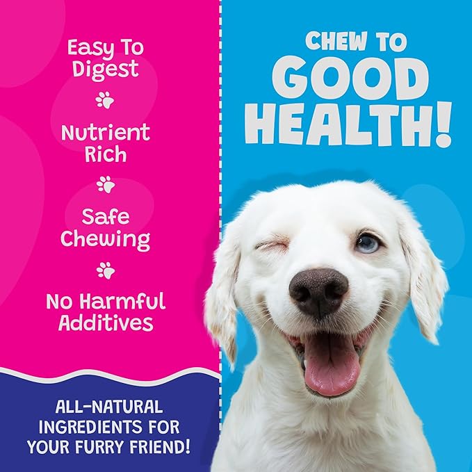 Coconut Mango Dog Bones - Long Lasting Natural Dog Treats - Dog Bones Rawhide Free Dog Chews - Long Lasting No Hide Dog Chews for Small Medium Large Dogs - Raw Hide Free Dog Chew (1 Pack)