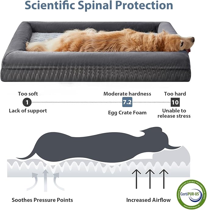 WNPETHOME Washable Dog Beds Large Sized Dog, XL Dog Couch, Orthopedic Dog Sofa Bed with Removable & Waterproof Cover, Extra Large Dog Bed with Bolster Sides for Sleeping, Big Dog Couch Bed with Sides