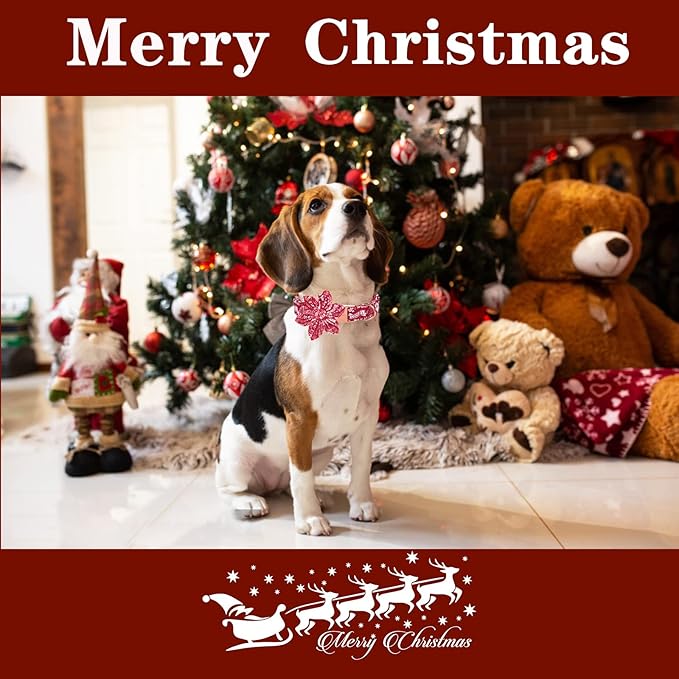 Unique style paws Christmas Dog Collar with Flower Tie Winter Gingerbread Snowman Theme Puppy Collar for Small Medium Large Dogs-L
