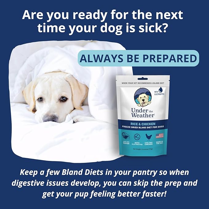 Under the Weather Bland Diet for Dogs | Easy to Digest for Sick Dogs | Always Be Ready | Contains Electrolytes - All Natural Freeze Dried 100% Human Grade Meats | 2 Pack - Chicken, Rice - 6oz