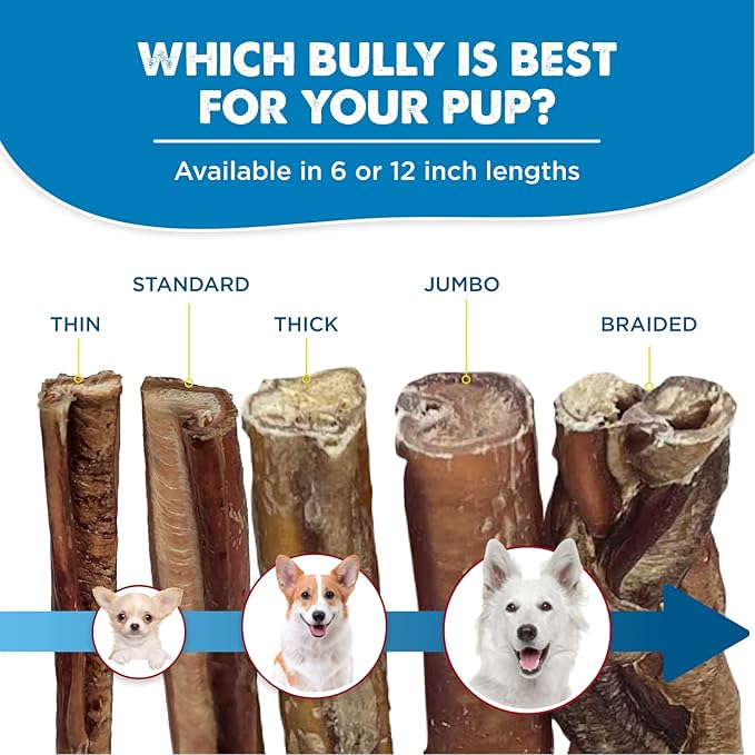 Best Bully Sticks 6 Inch Jumbo Bully Sticks for Large Dogs - 100% Natural, Grass-Fed Beef - Single Ingredient Grain and Rawhide Free Bully Stick Dog Chews | 4 Pack