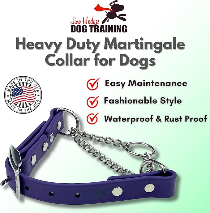 Martingale Collar for Dogs, Biothane, Stainless Steel Hardware, No Pull, Made in The USA, Professional Grade, XS, Purple