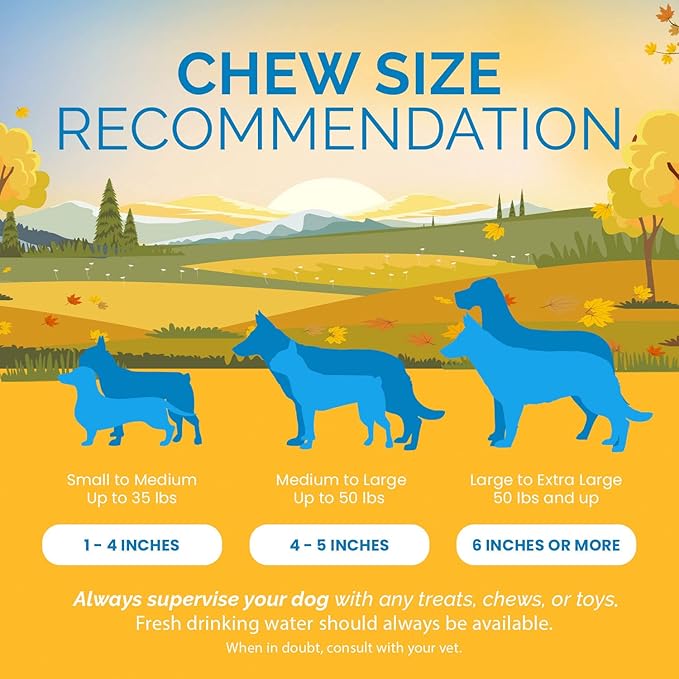 Filled Cow Hooves for Dogs, Delicious Cheese & Bacon Flavor, Stuffed Natural Beef Hoof Dog Chews, Tasty Treats for Dog, Made from Premium Brazilian Cattle, Pack of 10 Count