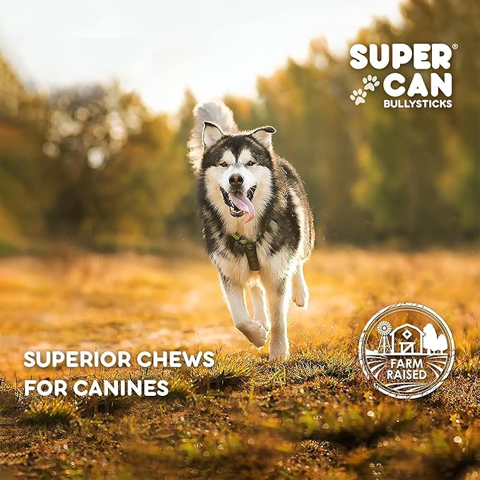 Supercan Bully Sticks Pig Ear Chews for Dogs โ Half Pig Ears (15 Count) - All Natural Dog Treats - Healthy Chews for Large Medium & Small Dogs - Promotes Dental Health - Long Lasting